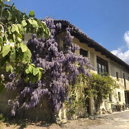 Experience Langa Escape Villa